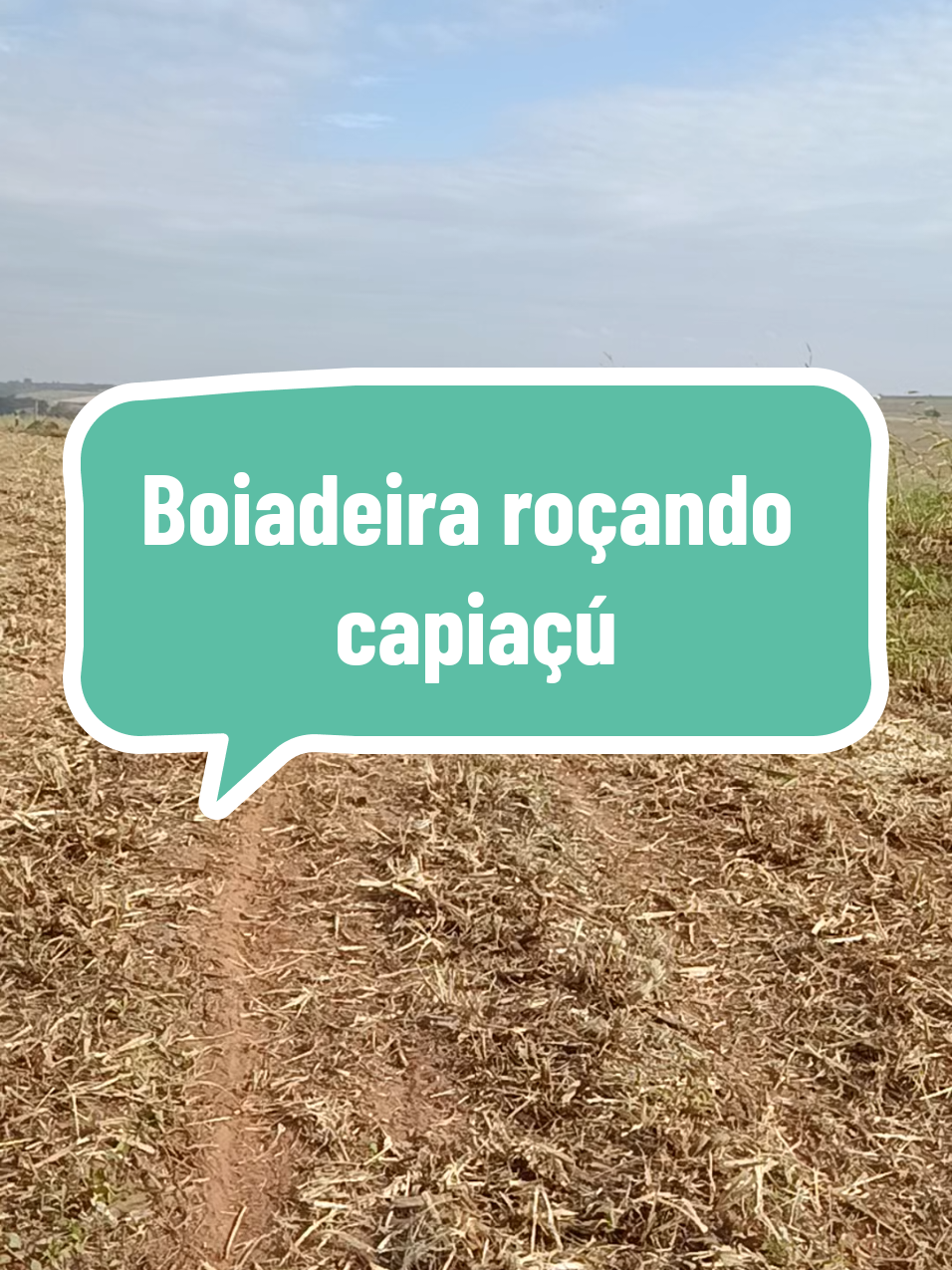 @Alexandre Basilio