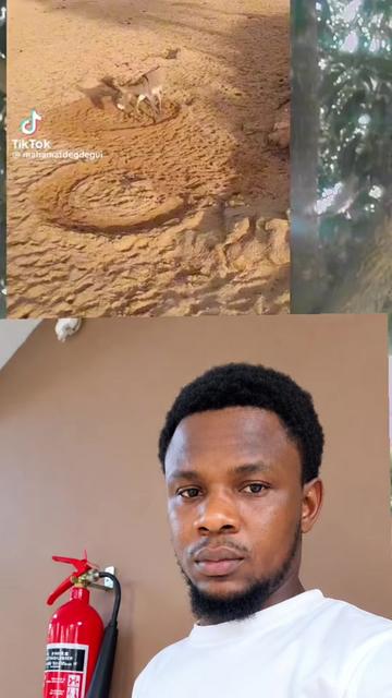 @musa usman