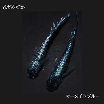 @gmmedaka.niigata