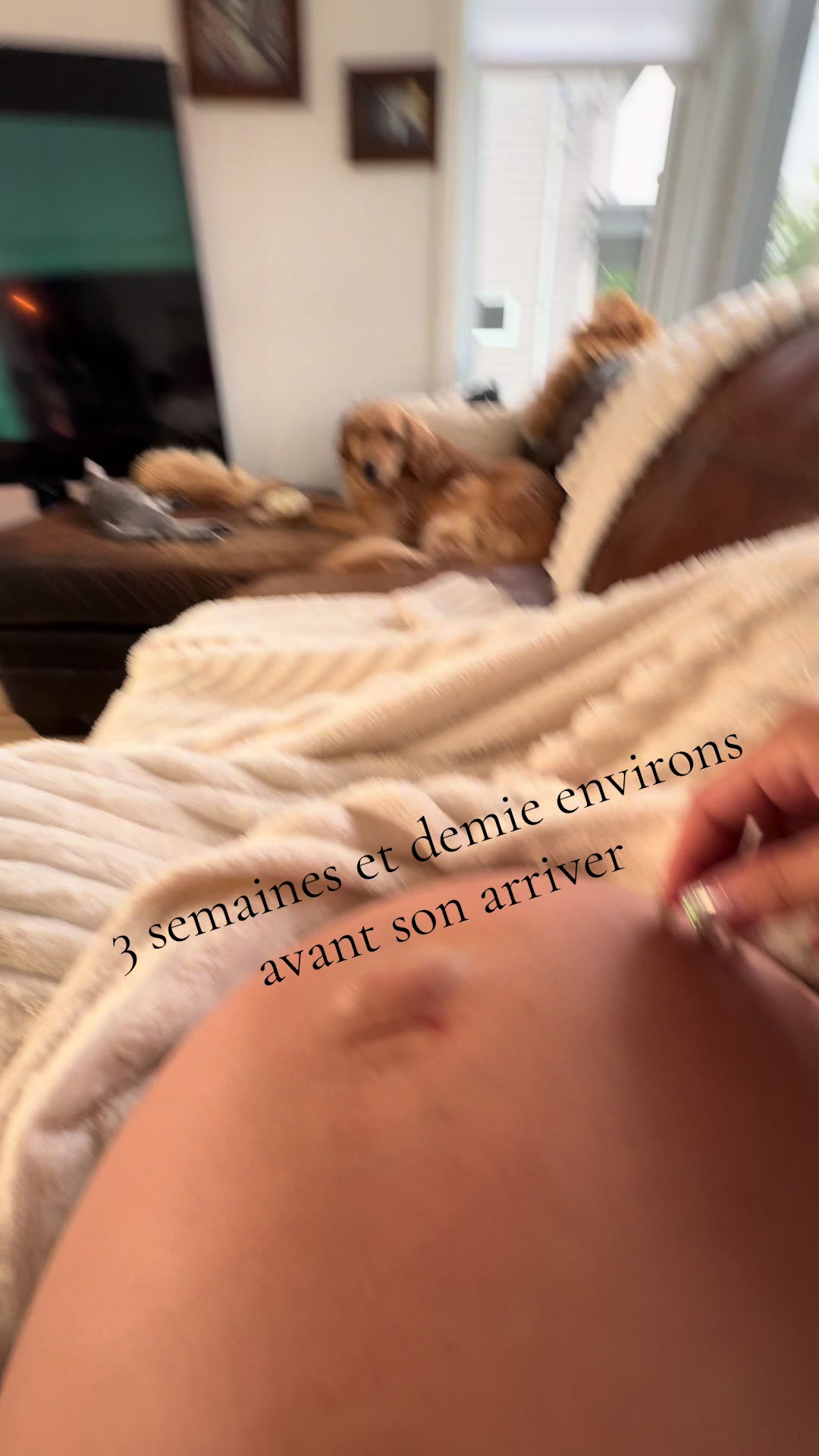 @𝐶𝑖𝑛𝑑𝑦𝑏𝑜𝑖𝑣𝑖𝑛🤍💋🦈