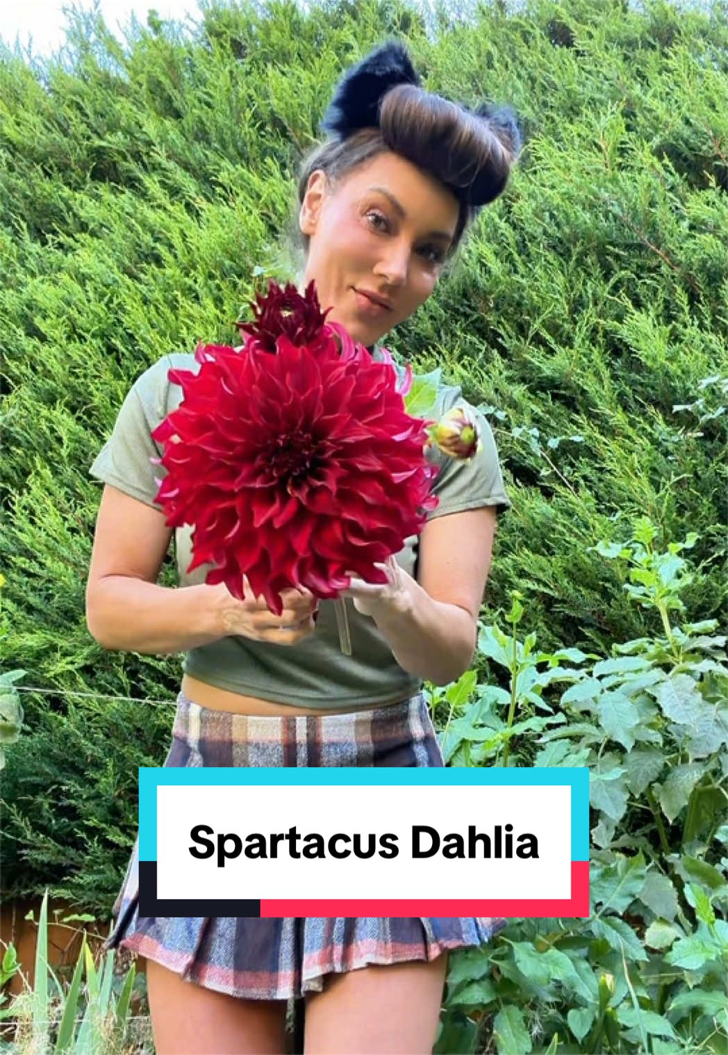 @Ava Dahlia 🇨🇦👩&zwj;🌾✌️