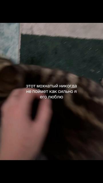 @Yanklz