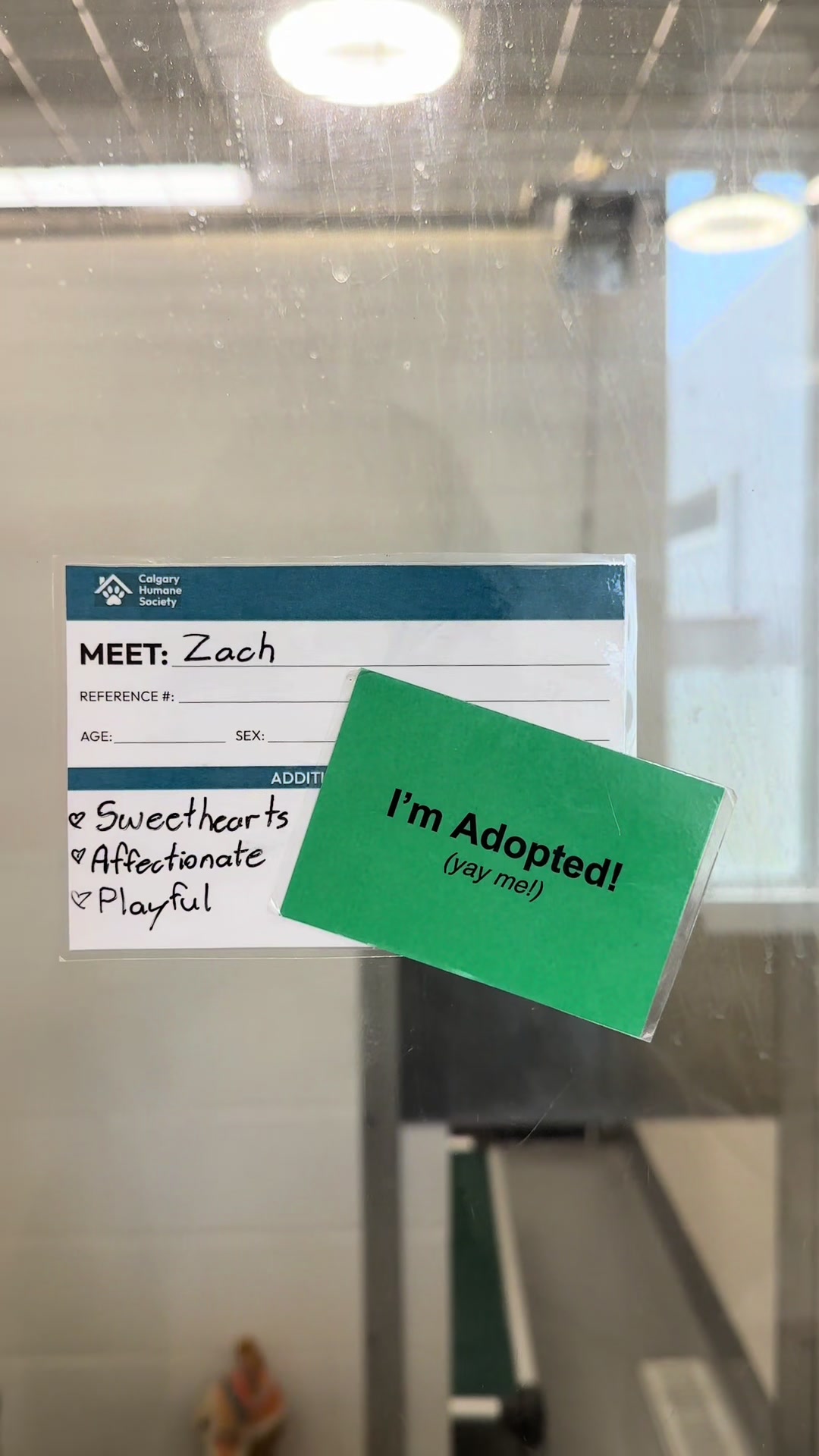 @Calgary Humane Society