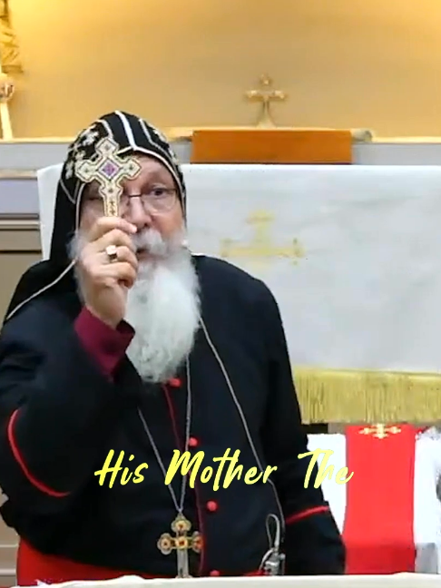 @stephverr🇨🇦