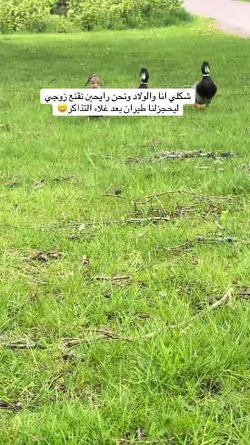 @مشاهير اليوتيوب