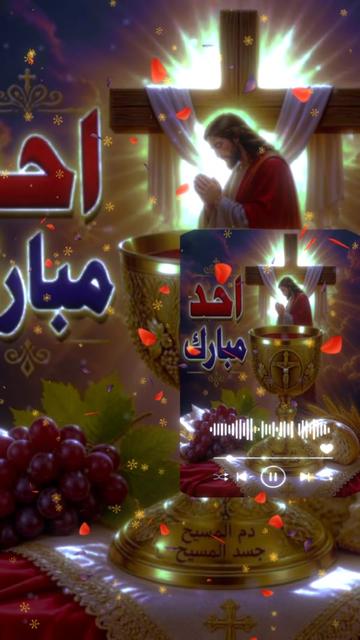 @Ramy Refaat