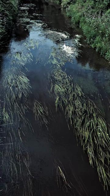 @justflow