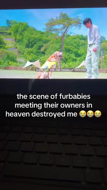 @suz