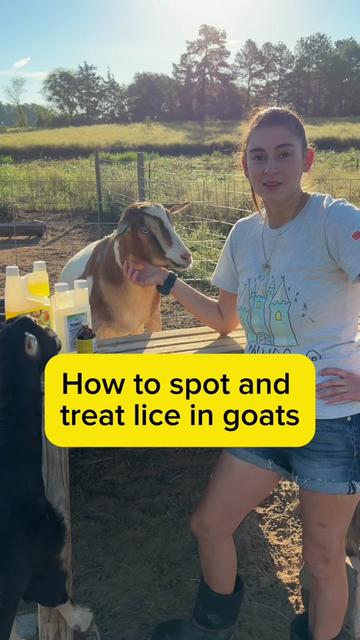 @Heart & Hoof Homestead