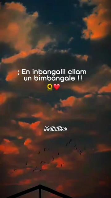 @MaliniRao🌙