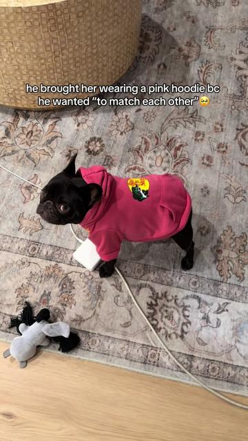@Mabel the Frenchie