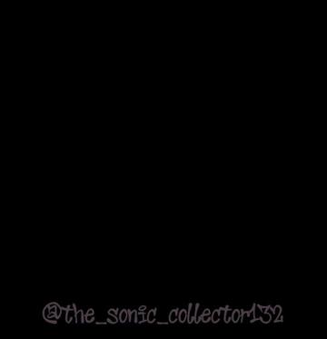 @the_sonic_collector132