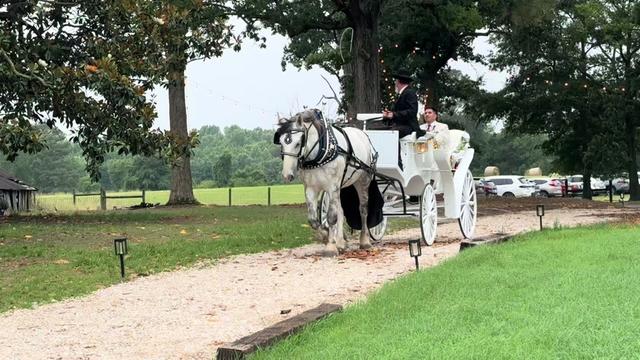 @southerncharmcarriages