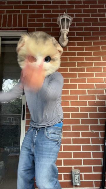 @The CaT 😼