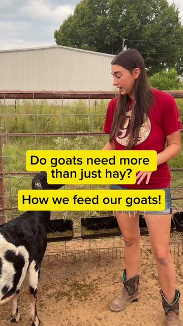 @Heart & Hoof Homestead