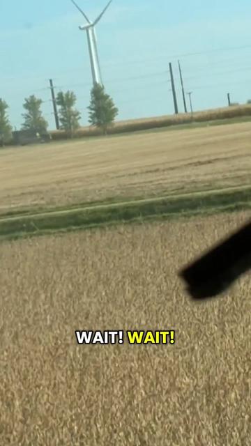 @Farmer Brando