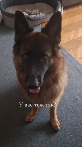@МАТЬ ДРАКОНІВ🤣