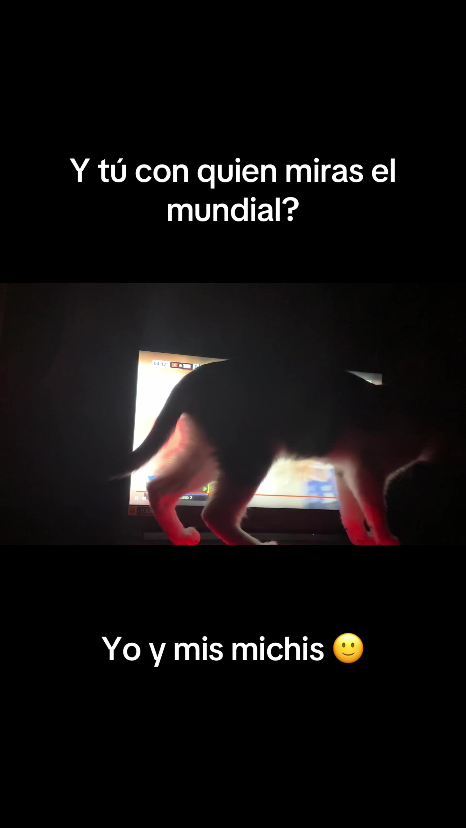 @Nanika