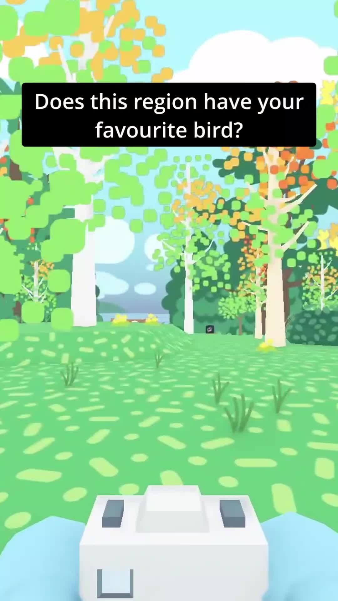 @Flock Around