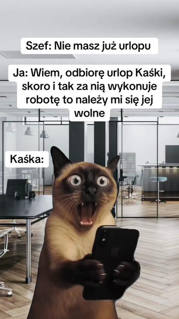 @mem08