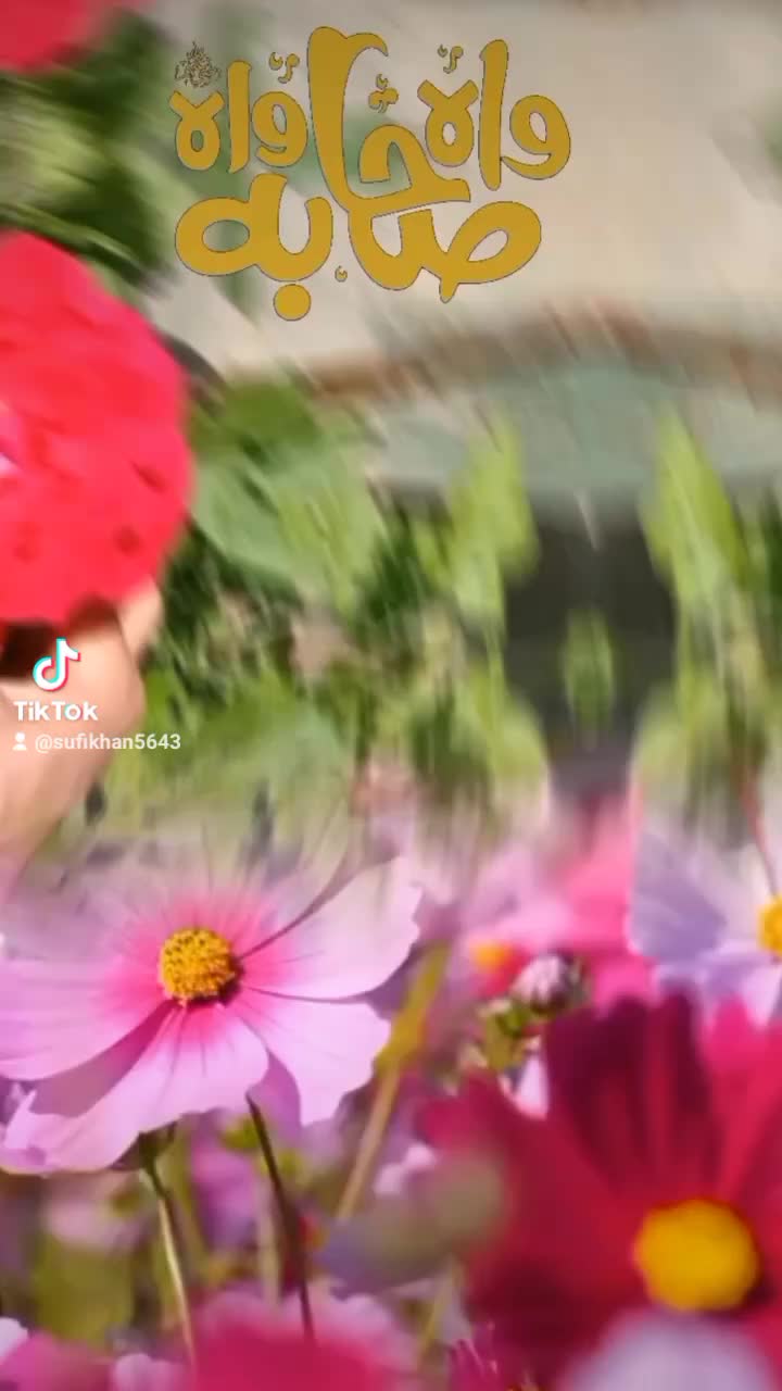 @Sufi Khan