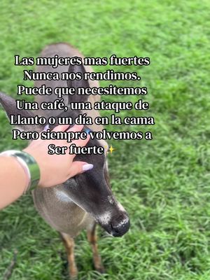 @By_Dianacarolina 🌸