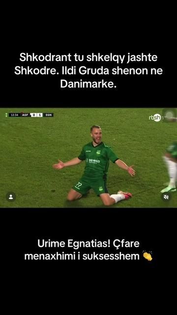@Erol Ramekaj