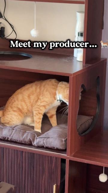 @Sarah Elizabeth Hyde