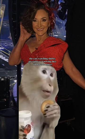 @✨