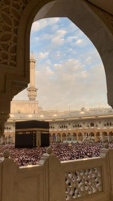 @صَفاء شِبيلي✨.