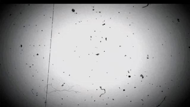 @╾━╤デ╦︻꧁༒𓆩$Ħ&pound;ŘĄ𓆪༒꧂▄︻┻═┳一