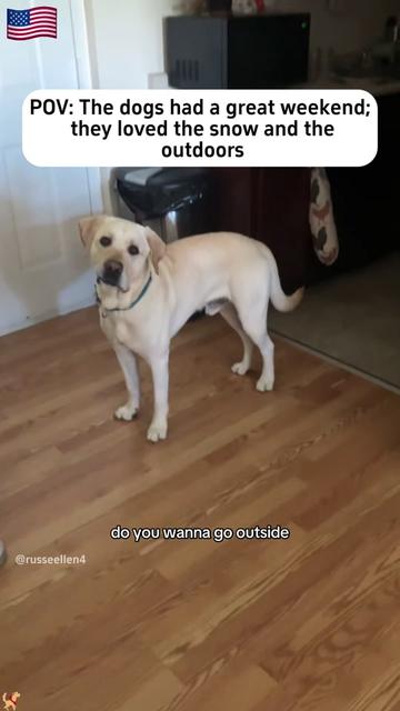 @PuckVibe