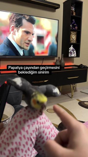 @Svg.K.E