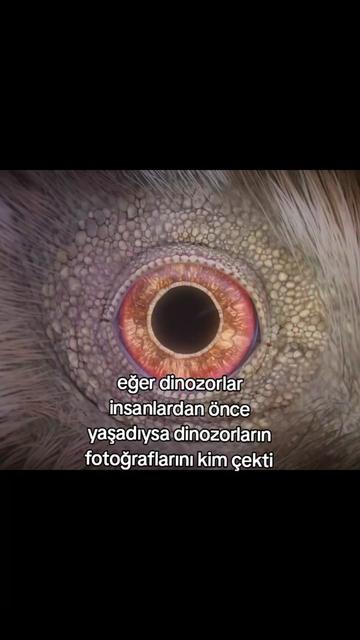 @SAMET