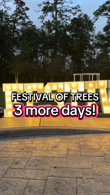 @Festival of Trees