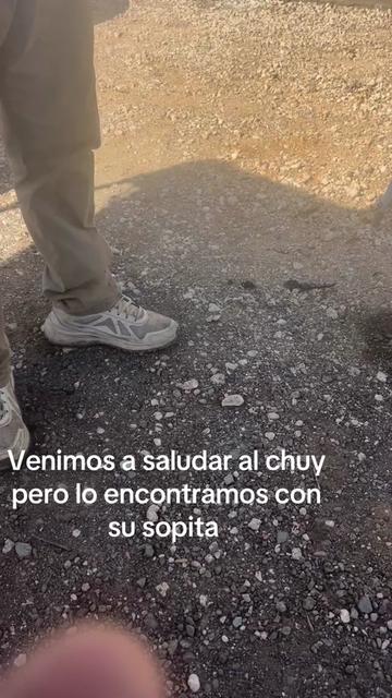 @Sabino Magallon