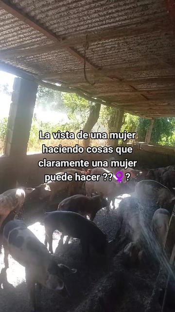 @La cubana Oficial