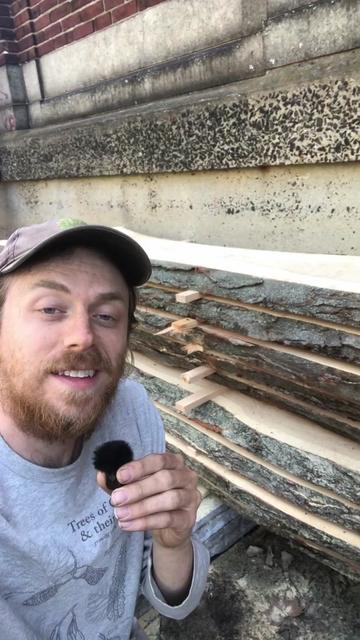@Andrew The Arborist