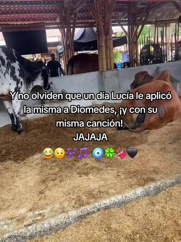 @Anghymary BM
