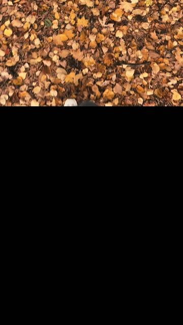 @Kseniatarasova