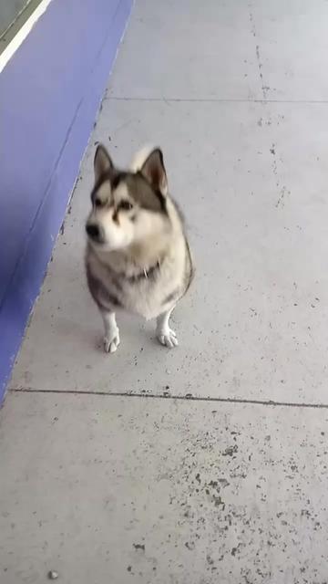 @Chocoburbujas 🐾