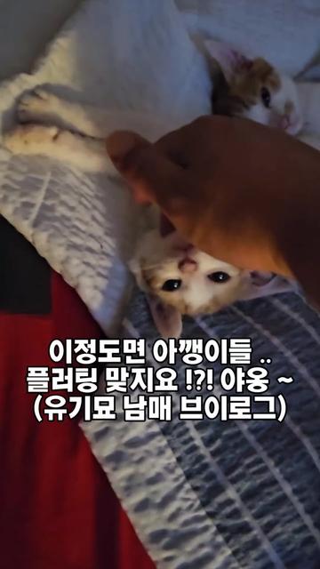 @๐ฉ์ด์์ฌ×234๐ฉ
