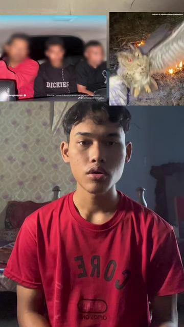 @syakurr