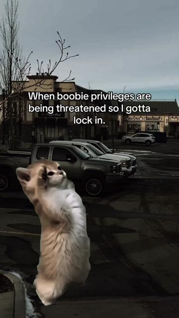@𝓐𝔂𝓭𝓮𝓷 👑
