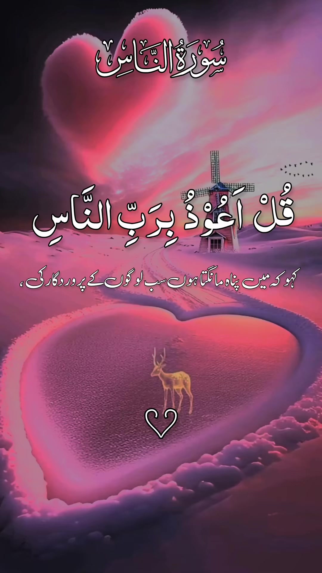@❣️ Words of Allah ❣️