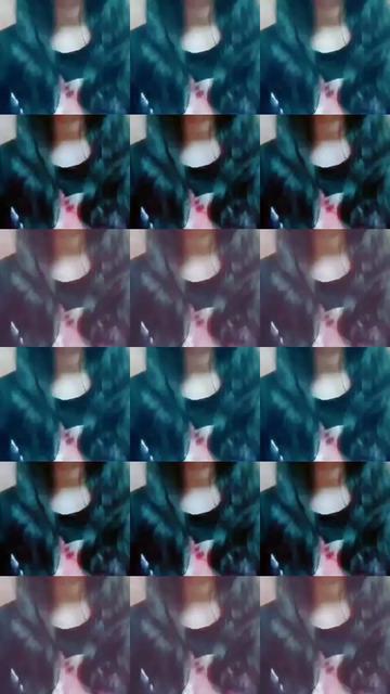 @anku passi😍