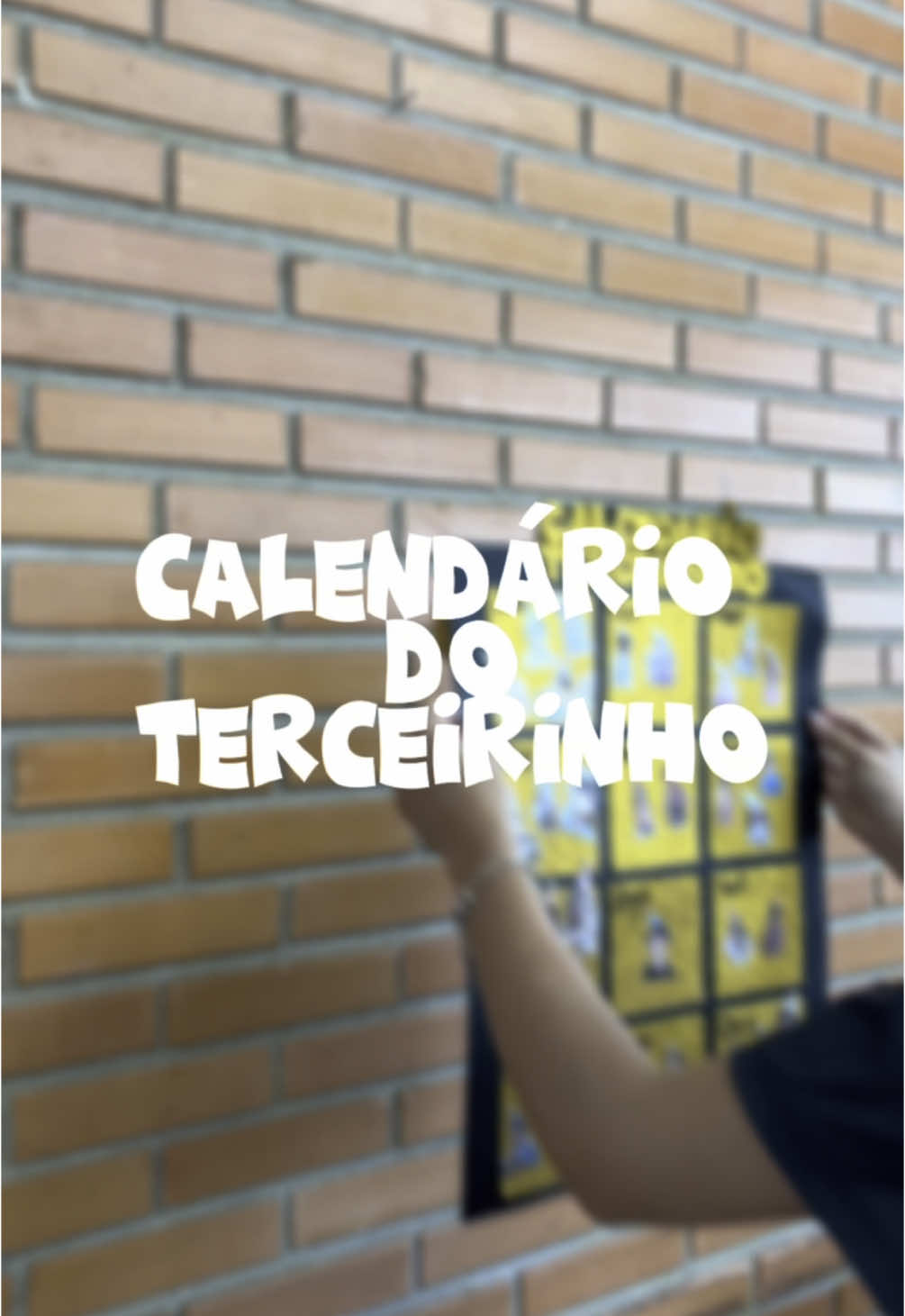 @306.terceirão
