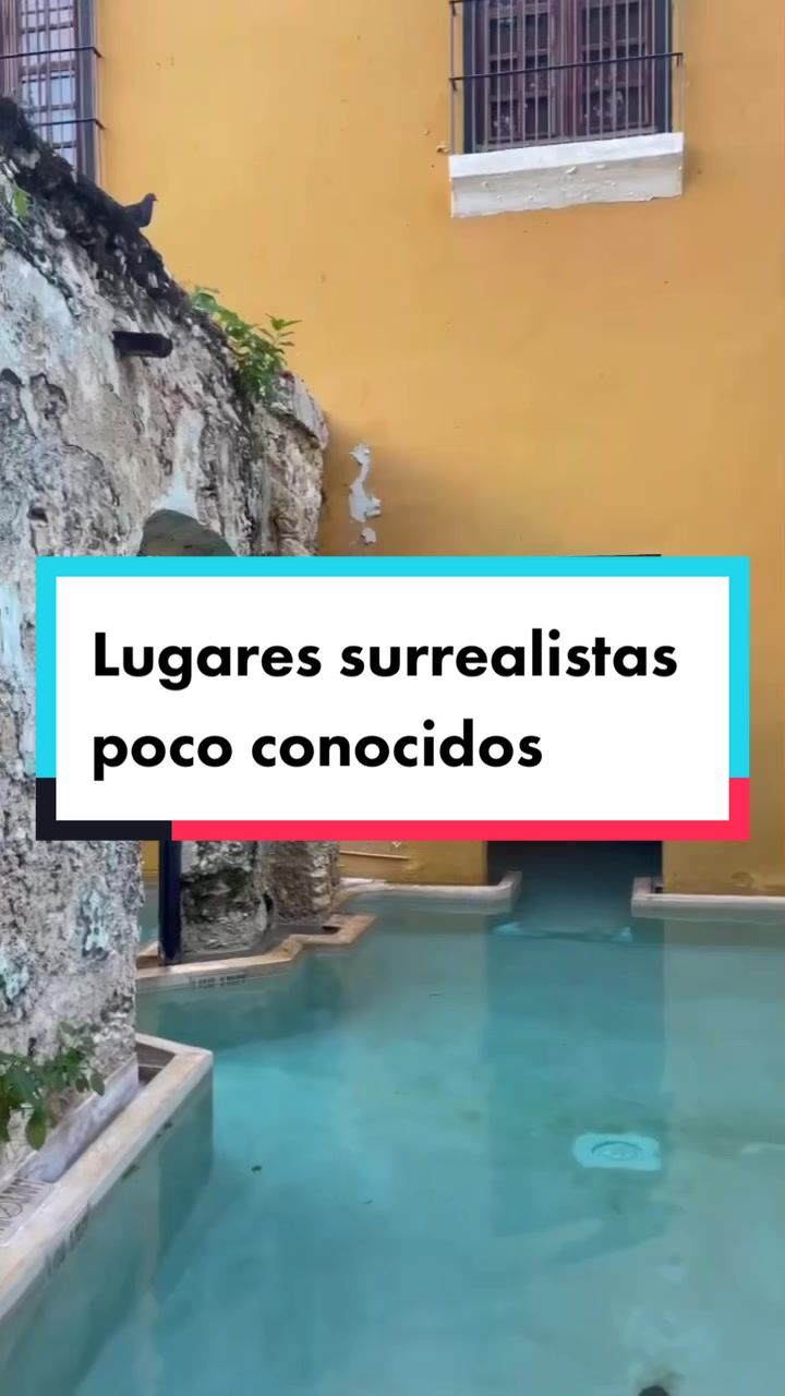 @Vive México