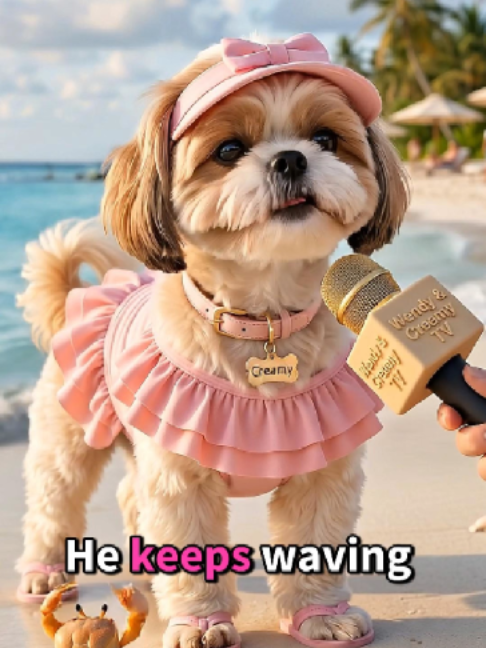 @Wendy and Creamy
