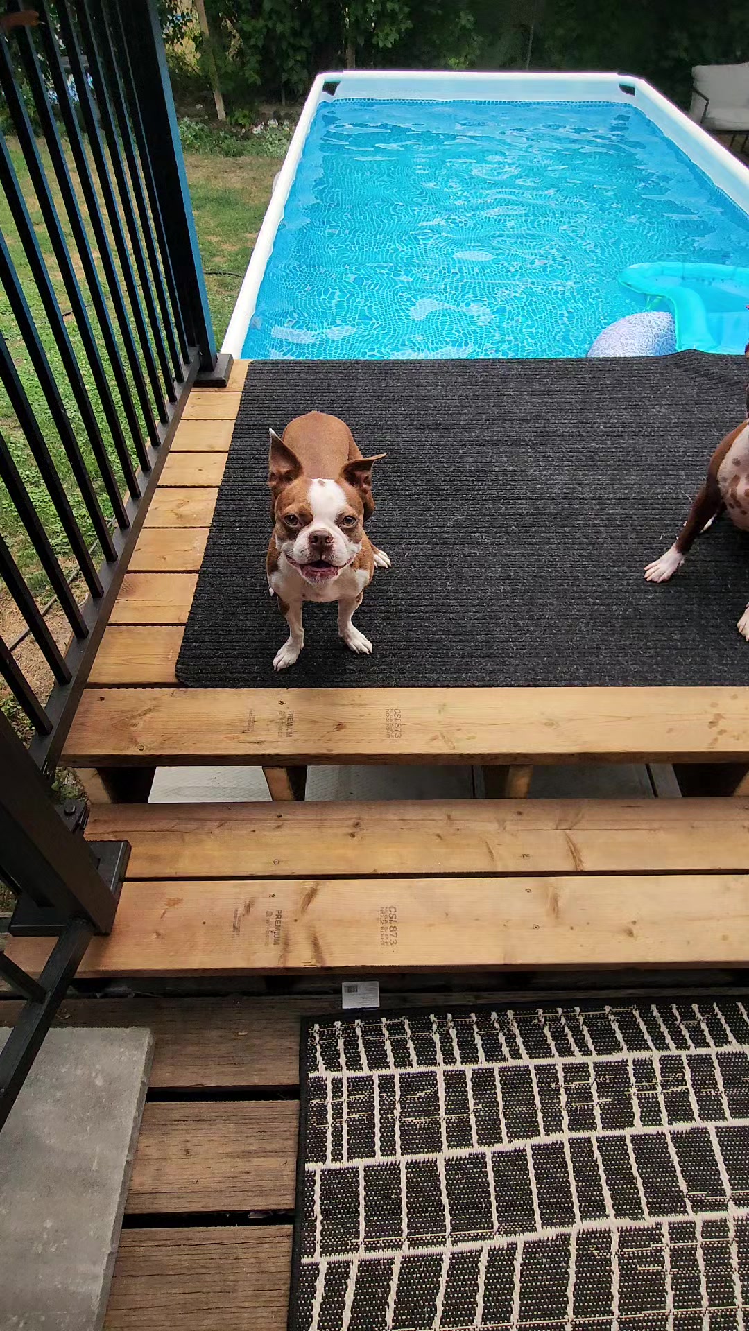 @Thor & Rosie🇨🇦